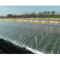 2020 high quality cheap plastic cover multi-span agricultural greenhouse plastic film